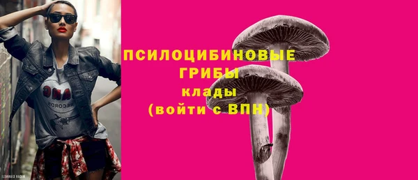а пвп мука Верея