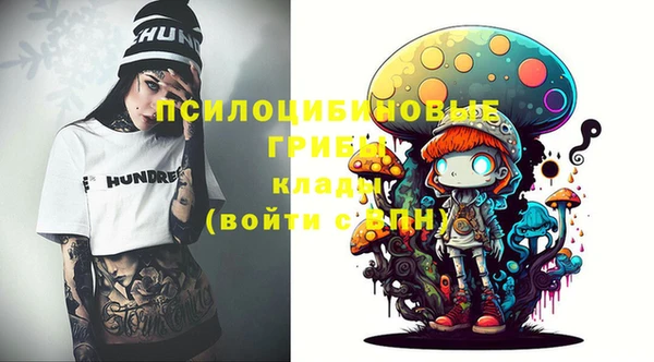 а пвп мука Верея