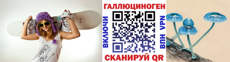 МЕГА зеркало  Качканар  Псилоцибиновые грибы мухоморы  цены наркотик 